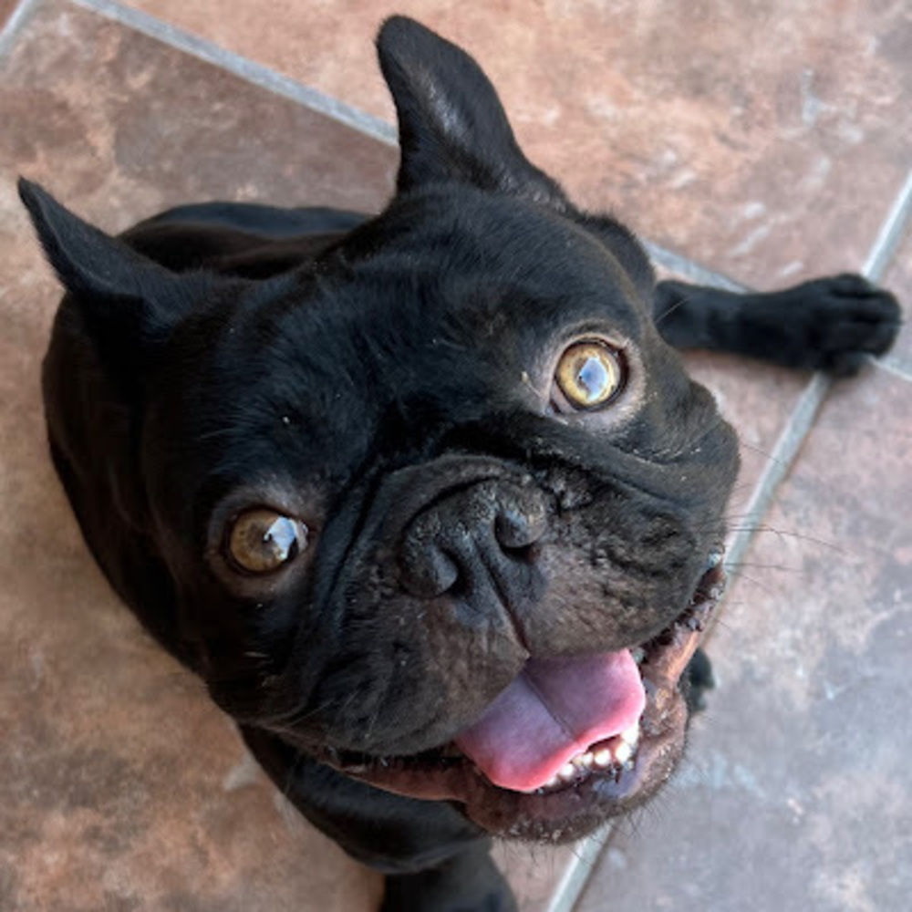 Meet your Posher, Francisco